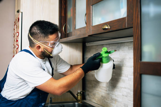 Best Pest Control for Businesses  in Villanova, PA