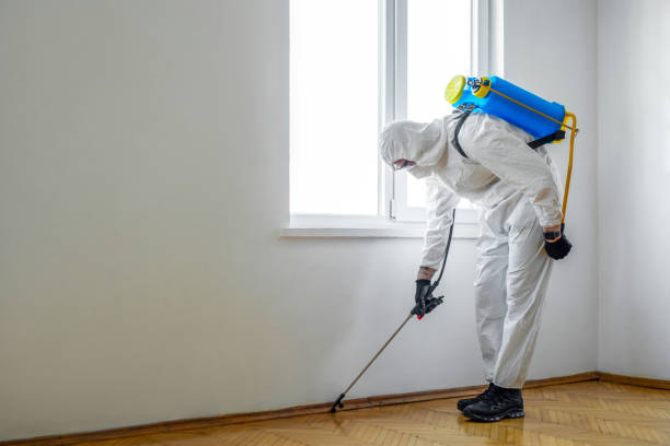 Best Termite Control Services  in Villanova, PA
