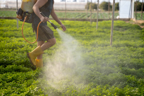 Best Best Pest Control Companies  in Villanova, PA