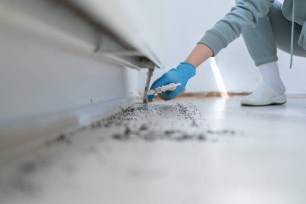 Wildlife Control Services in Villanova, PA